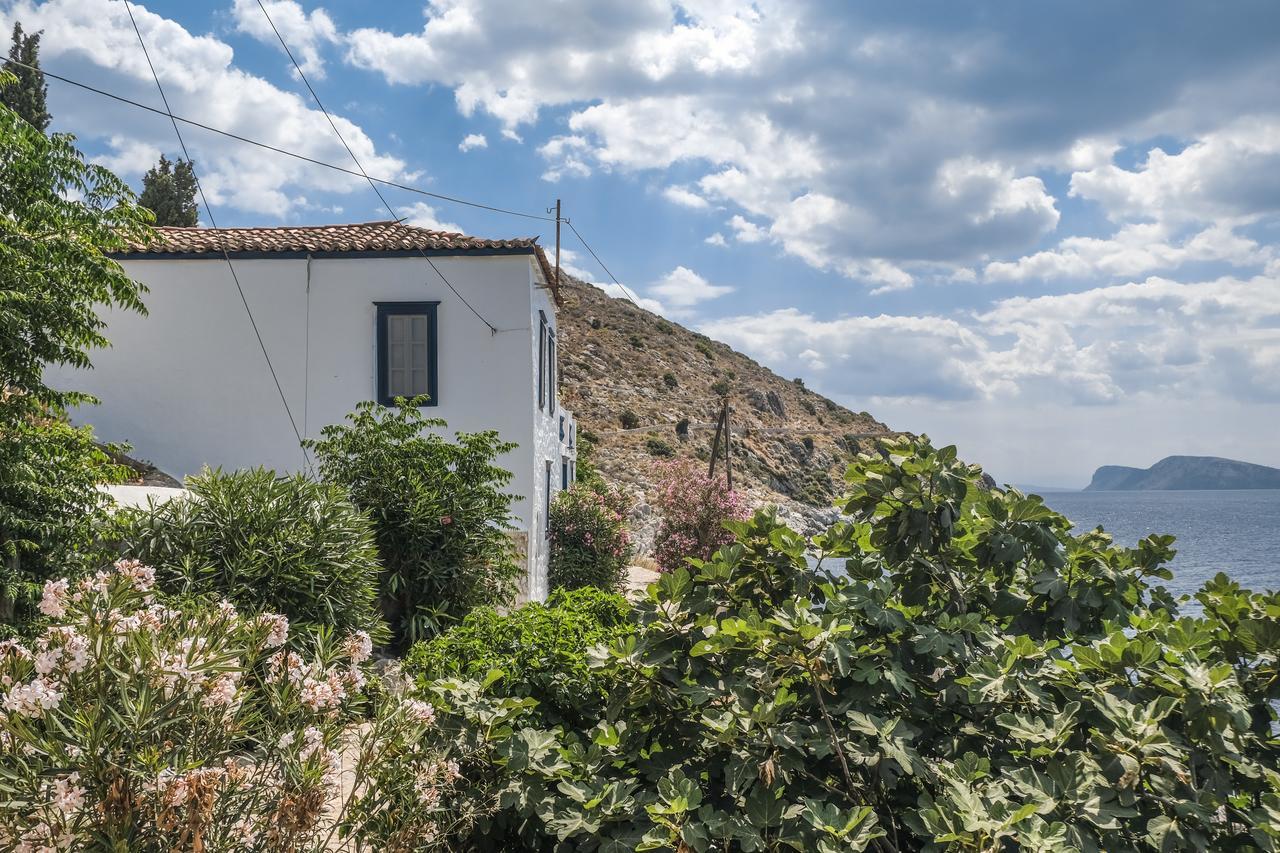 Lotus Sweet Home Hydra Extérieur photo